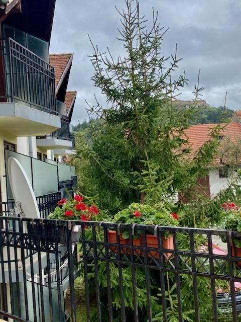 Pensiunea Casa Saxonia Rîşnov Kültér fotó